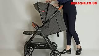 Carrello Eclipse Прогулочная коляска обновленная модель 2019 Каррелло Эклипс