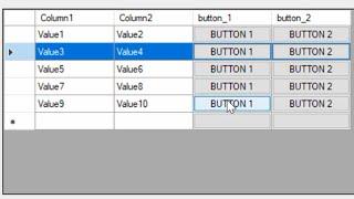 SOURCE CODE - How to add a button to a column in the DataGridView C#