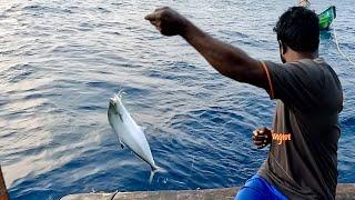 Catching Barracuda Fish, King Fish & Queen Fish in the Sea