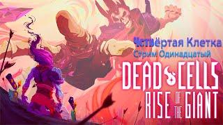 Dead Cells Дневник Новичка  Часть Одинадцатая - Щупаем Четвёртую Клетку