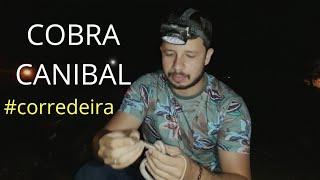 COBRA CANIBAL