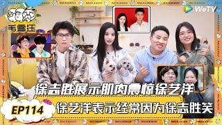 EP114超长沉浸版：徐志胜展示肌肉震惊徐艺洋？徐艺洋自曝经常被因为徐志胜笑到脸疼！|《毛雪汪》EP113 PLUS #综艺 #毛雪汪 #李雪琴 #毛不易 #姜妍