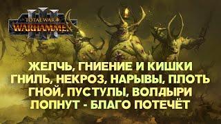 Нургл. Фракции Total War Warhammer 3