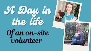 Day in the Life of a Aloha Animal Sanctuary Volunteer (Part 2)