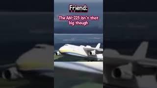 Their wrong.. ️flashing lights️ #aviation#avi#cool#like#sub#boeing#airbus#viral#viralvid