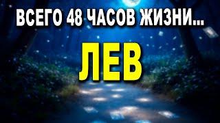 ЛЕВ  ПРОБУЖДЕНИЕ СИЛЫ  КАК НАЙТИ СВОЙ ИСТИННЫЙ ПУТЬ 