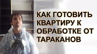 Как подготовить квартиру к обработке от тараканов