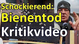 Kritikvideo: Totes Bienenvolk, die WAHREN schockierenden Gründe - Bienen-Anfänger aufgepasst! Nosema