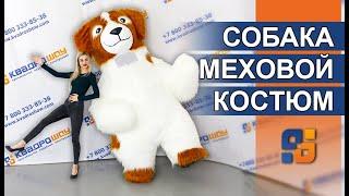 Костюм Собачка | Пневмокостюм с длинным мехом | Изготовление меховых ростовых кукол на заказ