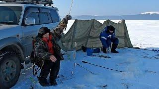 Рыболовное путешествие в Де Кастри. 18 - 25.01.2020 г. Часть 3. Пролив Невельского. Корюшка, зубарь.