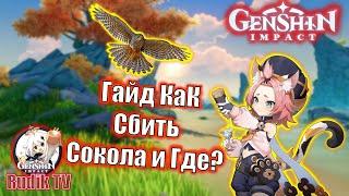 Genshin Impact Гайд как Сбить Сокола и Где? Достижение Первоклассный Стрелок!