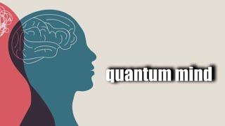 quantum mind aka I don’t need a chip in my head thank you for the offer though (morphic field)