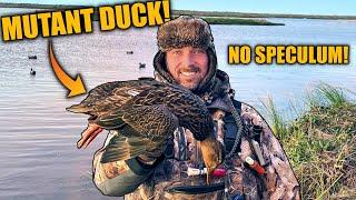 Hunting FROZEN Louisiana Marsh After RECORD FREEZE!