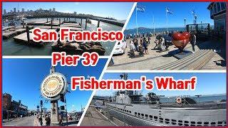 샌프란시스코 피어39, 피셔맨스 워프 데이투어, San Francisco Pier 39 & Fisherman's Wharf, Day trip |미국자동차여행|USA Roadtrip