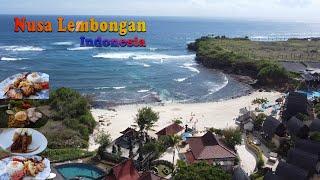 Day Trip to Nusa Lembongan Island  Indonesia  Food + Attractions