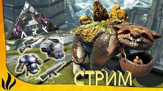 Ark survival Evolved  Гача  и  Снежная СОВА - приручаем вместе с ЯНОЙ:)