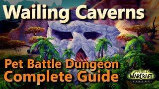 Wailing Caverns Pet Battle Dungeon Complete Guide Challenge Mode Updated