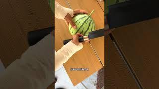 下雨天成熟的瓜，水份大，不好吃#陽台種植 #盆栽西瓜 #樓頂菜園 #garden
