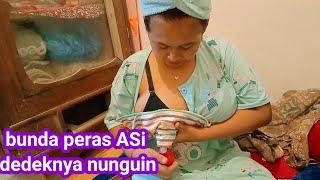 Nunguin bunda peras ASI dedek ketiduran