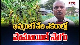 ఖమ్మం లో వేల ఎకరాల్లో పామాయిల్ సాగు | Raithe Raraju | CVR News