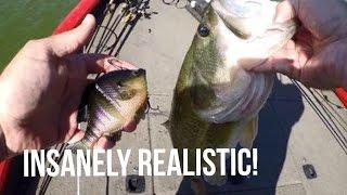 CRAZY REALISTIC: Savage Gear 3D Bluegill Review