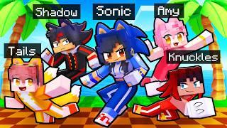 10 Friends on one SONIC BLOCK!