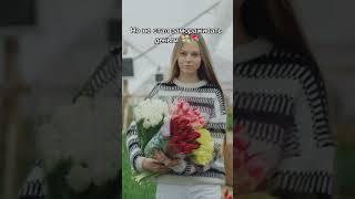 Я купил lamborghini #тюльпаны #tulip #цветы #дача #выращивание #бизнес #обзор #юмор #сельскоехозяйст