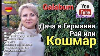 Дачные истории: 3 часа в поисках урожая и отдыха. Дачный сезон 2023. @galabum