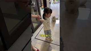 今天家里多了一只“猫”！#cat #猫 #catandbaby #shorts