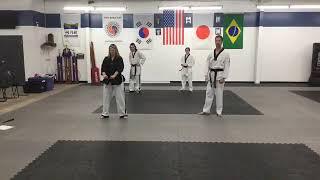 Tae Kwon Do workout 4 30 20