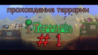 ПРОХОЖДЕНИЯ TERRARIA EXPERT #1 - ПОСТРОЙКА ДОМА