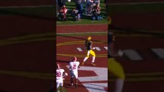Michigan Ties It vs Alabama #college #football