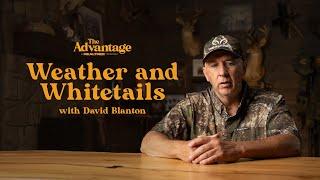 How Weather Affects Whitetails | Tips on Deer Hunting | The Advantage with David Blanton