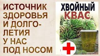 Хвойный квас на медной воде - сибирский рецепт здоровья и долголетия