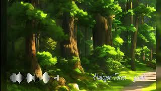 Halcyon Forest - grimh