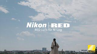 Nikon | RED: Introducing RED LUTs for N-Log