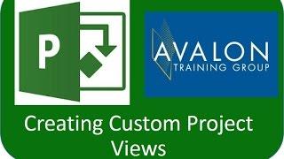 Custom Views in Project 2010