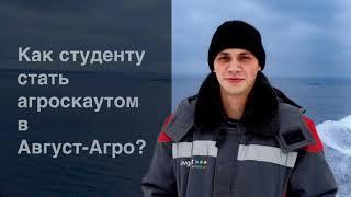 Как стать агроскаутом в Август Агро?