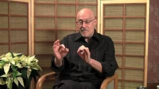 Sasaki Roshi & Burmo-Japanese Mindfulness Fusion ~ Shinzen Young