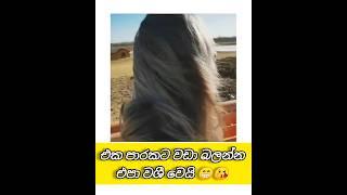 එක පාරකට වඩා බලන්න එපා #waitforend #viralsong #viralshort #viralvideo #tranding #trendingshorts #lov