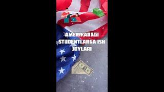 Amerikada studentlar qanday pul topishadi?