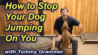 Stop Your Dog Jumping Up On You