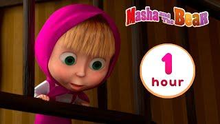 Masha and the Bear ‍️ CLASSIC MASHA  1 hour ⏰ Сartoon collection 