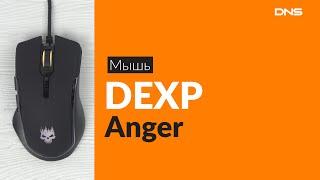 Распаковка мыши DEXP Anger / Unboxing DEXP Anger