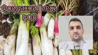 Гиёҳи Ров Бинед чи фоида дорад