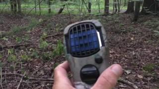 Ohio Bigfoot Hunter @ Low Profile Research