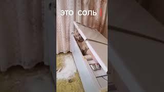 Солевой на лютом хайпе #зависимость #наркомания #солевые