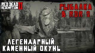 ЛЕГЕНДАРНЫЙ КАМЕННЫЙ ОКУНЬ - рыбалка в RDR 2