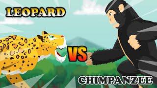 Chimpanzee vs Leopard | Jungle Fight Club [S1] | Animal Animation