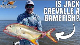 Jack Crevalle, Is It A Gamefish? | Flats Class YouTube